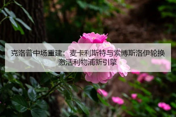 ke-luo-pu-zhong-chang-chong-jian-mai-ka-li-si-te-yu-suo-bo-si-luo-yi-lun-huan-ji-huo-li-wu-pu-xin-yin-qing-3-931.jpg