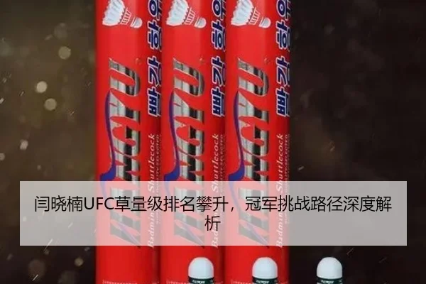 闫晓楠UFC草量级排名攀升，冠军挑战路径深度解析