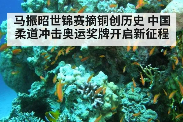 马振昭世锦赛摘铜创历史 中国柔道冲击奥运奖牌开启新征程
