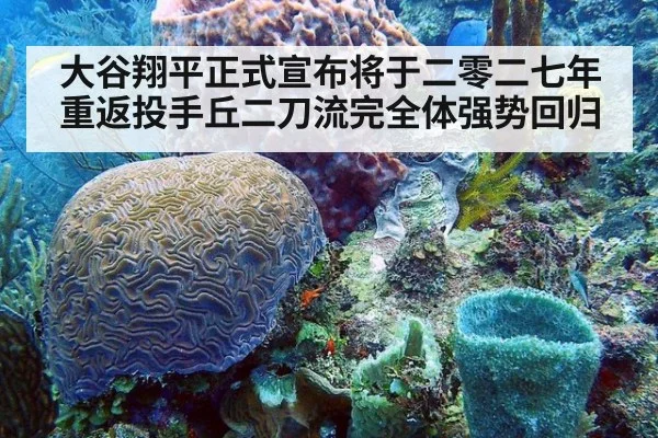 大谷翔平正式宣布将于二零二七年重返投手丘二刀流完全体强势回归