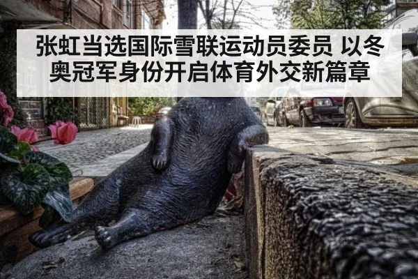张虹当选国际雪联运动员委员 以冬奥冠军身份开启体育外交新篇章
